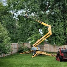 Best Leaf Removal Services  in USA